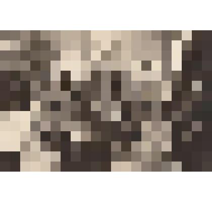 Фотография. Рабочий кабинет И.П. Павлова в ленинградской квартире