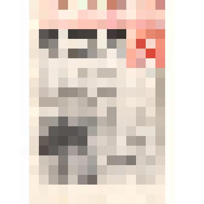 Газета "Правда Севера"