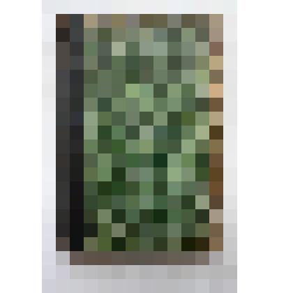 Книга. Общее дело. Сборник статей по вопросам распространения образования среди взрослого населения. Выпуск III. Типография П.П. Рябушинского