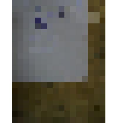 Рукописная книга 