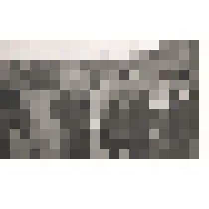 Фото черно-белое "Встреча на Эльбе. Командование американской армии награждает командующего артиллерией 33 армии В.С.Бодрова."