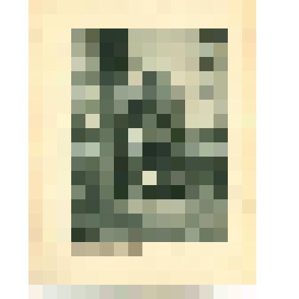 Фото-тинто-гравюра. Эрмитажная кухня в Царском Селе. (С фотографии неизвестного автора). из комплекта печатной графики "Историческая панорама Санкт-Петербурга и его окрестностей. Часть седьмая. Царское Село."