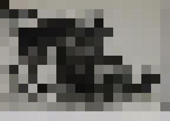 Фотография. Участники экскурсии в Дом-музей В.И. Ленина