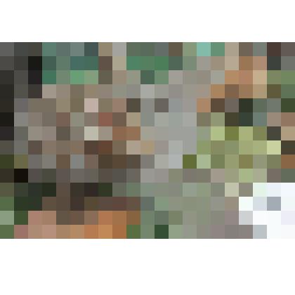 Чучело птицы