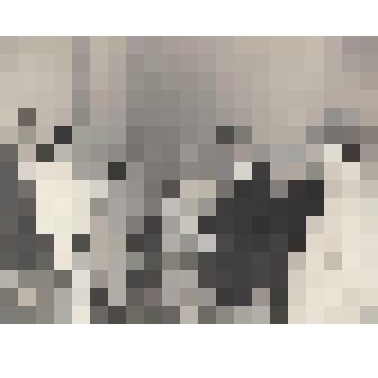 Фотография. Кассиль Л.А., Лиходеев, Райкин А.И., Вознесенский А.А., Богуславская, Твардовский А.Т., Воробьев Е.З