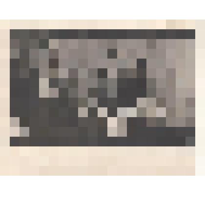 Фотография. Рушева Н.Н., Рушева Н.Д., учащиеся и преподаватели изостудии