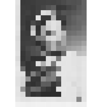 Фотосепия. Колчина А.П., советская спортсменка, заслуженный мастер спорта