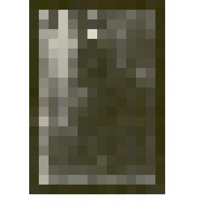 Фотография: Смоляков Кирилл, уроженец г.Камень-на-Оби, член РКСМ с 1920 г., рабочий мельницы "Победа", первый красный офицер, окончил курсы красных командиров в Омске. Копия