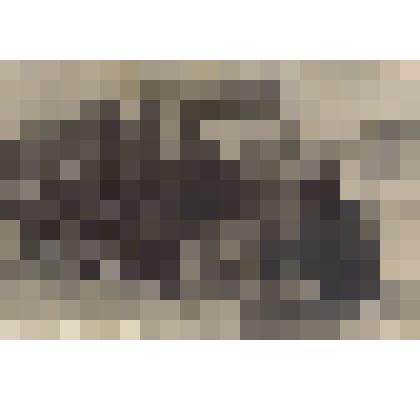 Фотография видовая. Рейсовый автобус "Москва - Ногинск", 1934 год