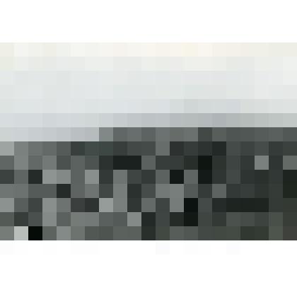 Фотография. Капустное поле