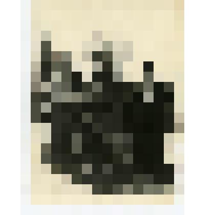 Фотография. Ряженые на свадьбе в селе Коломенском