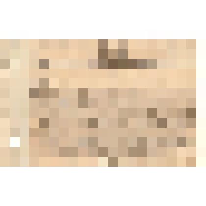 Телеграмма В. П. Чкалову из Саратова