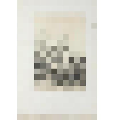 Литография. "Гамбург. Здания XV и XVI веков."