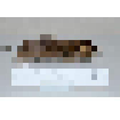 Чучело. Обыкновенная полёвка (Microtus arvalis)