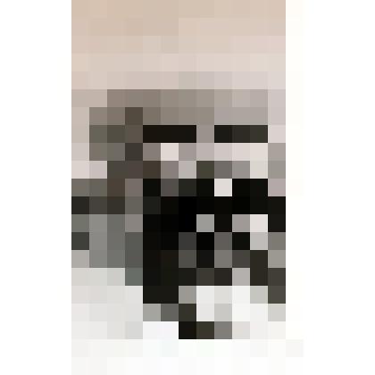 Фотография. Севастьянов Иван Михайлович