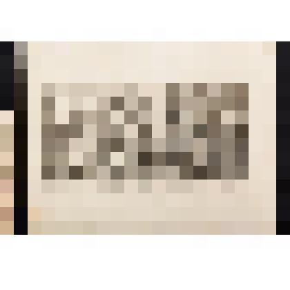 Эпизод в Темпл-Баре. Лист XI из серии "Гудибрас". 1726, из альбома «The Works of William Hogarth»