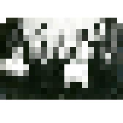 Групповой снимок. Сидят слева: Зоя Васильевна Егорова, Николай Васильевич Егоров, Мария Васильевна, Федор Васильевич. Стоят слева : Вера Николаева - племянница, Юрий Николаев - племянник, Яша - младший брат, Ольга Васильевна Егорова - сестра, Петр Басылай