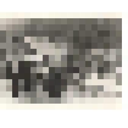 Фотографии. Фото. Шушеначев И.В. с монгольской делегацией профсоюзов на фоне строительства Саяно-Шушенской ГЭС