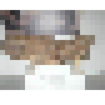 Череп волосатого носорога