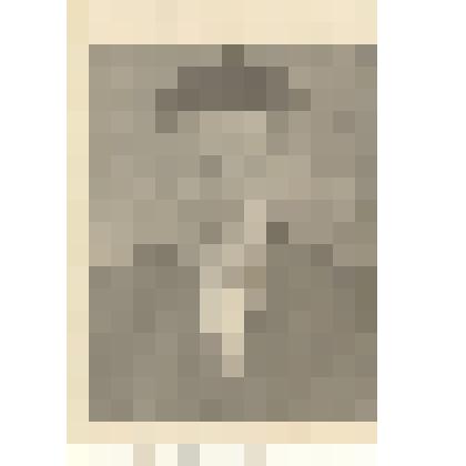 Фотография: Миняев А.Н., бригадир комплексной бригады №2 колхоза им. Ленина Высокогривского сельсовета