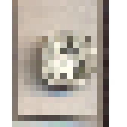 Пуговица на ножке рельефная