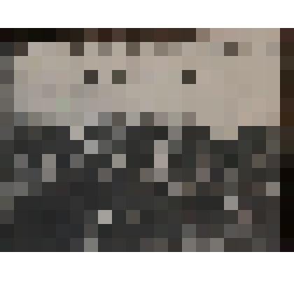 XII-я Райпартконференция Колыванского района 25 и 26 мая 1929 года. Фотография