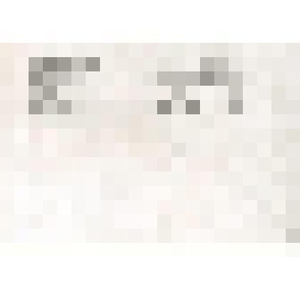 художественного оформления карабина “Изюбр”. Эскиз