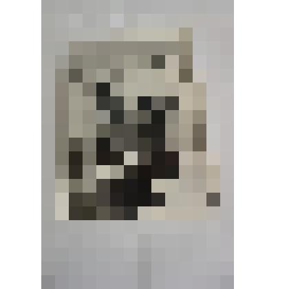 Фотография Петиной Н.Г. за работой