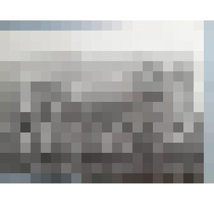 Фотография.  "Жучка"