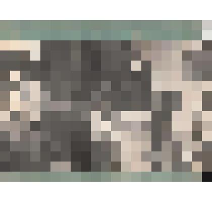 Фотография. Кассиль Л.А