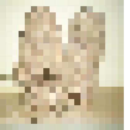 Лапти татарские