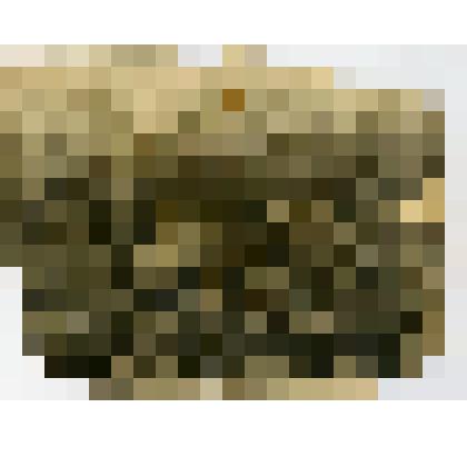 Фотография. Дети с. Дьяковского