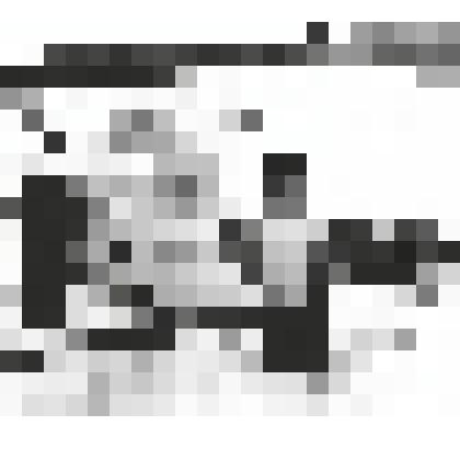 Фотография. После купания