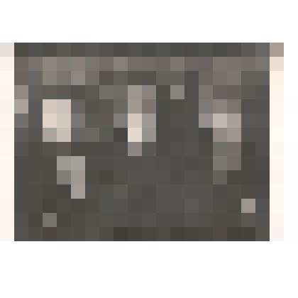 Фотография групповая