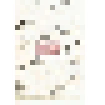 Письмо   К.   А.   Мизерова   Николаю Михайловичу  Мартьянову  с  просьбой помочь    найти    место    преподавателя истории и географии в одном из учебных заведений в Сибири