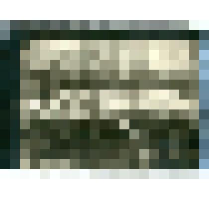 Фотография. Снег летом- в июне 1927г., в долине реки Мугдыче