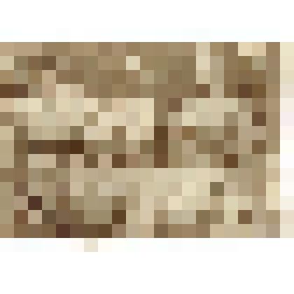 Фотография. Боевые друзья в годы Отечественной войны