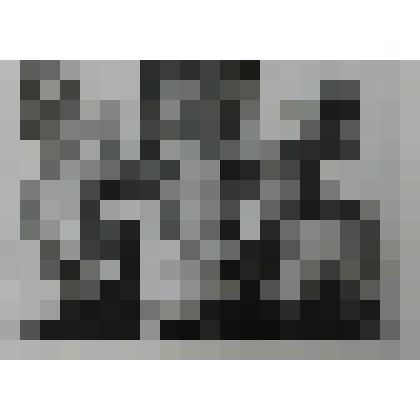 Фотография(ч/б). Слёт молодых учителей