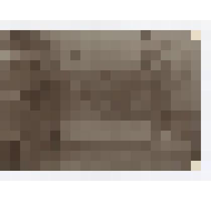 Фотография. Раздел выставки с рисунками учениц женской Мариинской гимназии