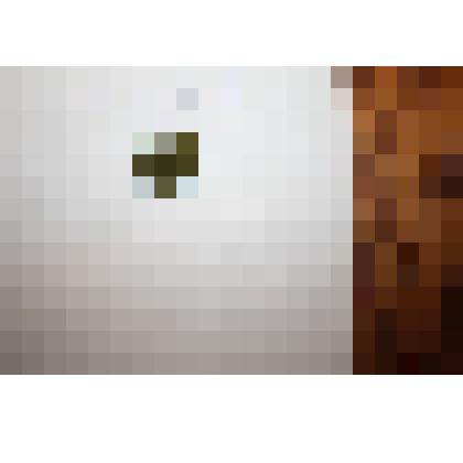 Знак отличия