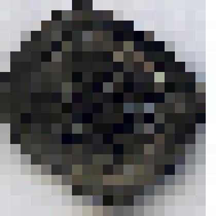 Монета. Священная Римская Империя;Австрия, пфенниг