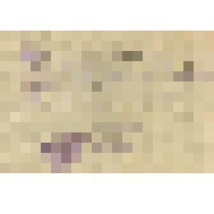 справка. Справка из сельсовета с. Беи выдана Мешалкиной Г.Т., свидетельствует о том, что она является постоянным жителем с. Беи Алтайского района Хакасии