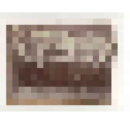 Фотография.  Хор Тихвинской  церкви