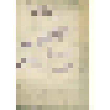 Документы  периода  становления  Сольвычегодского  музея