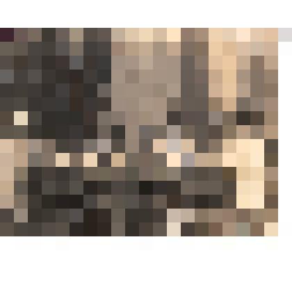 Ф/чб. Детские ясли завода "Коммунист" г. Марксштадт. Дети за чаепитием. АССР НП. 1937