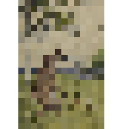 Почтовая карточка "Волк и журавль"