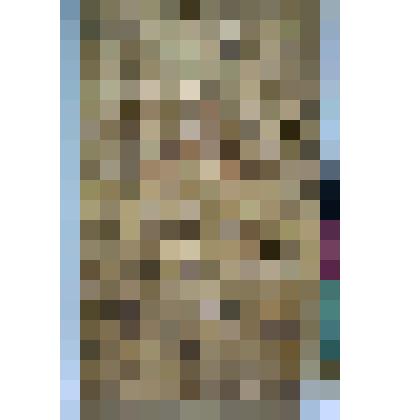 Панно резное по сказке Пушкина