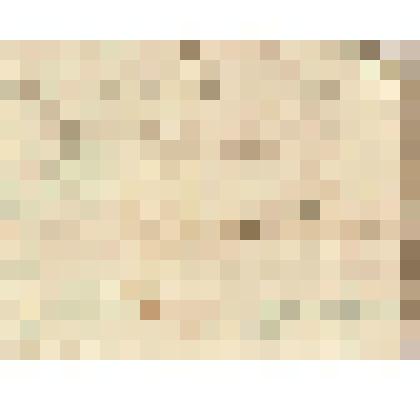 Записка от М. Мичурина