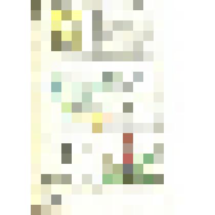 Архангельская губерния