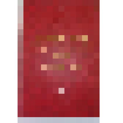 Книга. Четвертый съезд народных депутатов СССР. 17-27 декабря 1990 г. Стенографический отчет. Том I